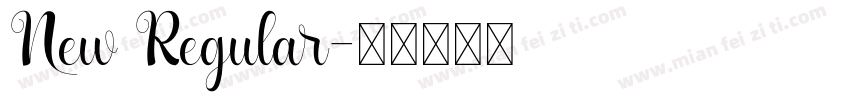 New Regular字体转换